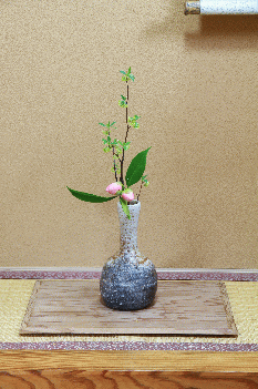 �G�߂̒���