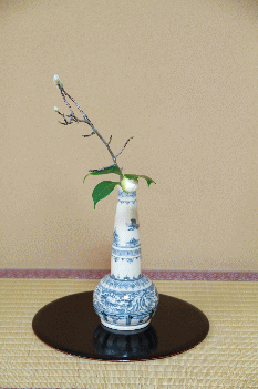 �G�߂̒���